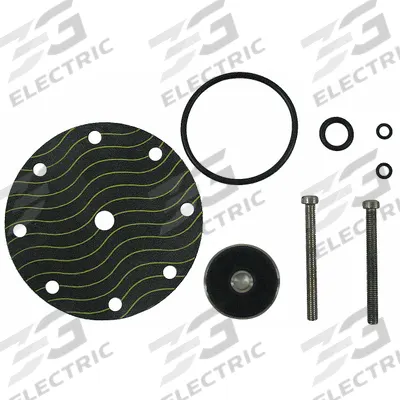 WATTS Pilot Rebuild Kit: CP16RK - Plumbing