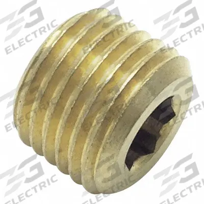 LEGRIS Plug: Cored Plug, C36000 Brass, 3/8 in, BSPT Threaded, 3,626 psi - Threaded Extreme-Pressure Instrumentation Pipe Fittings