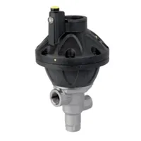 Pneumatic Valves - PN2S/500