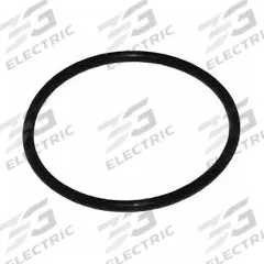 Interpump O-RING 31,47X1,78 (2125)
