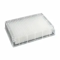 MTC BIO Deep-Well Well Plate: Sterile, 384 Wells, 0.24 mL, 3.6 mm Dia, RNase/DNase Free, Square (MPN D3384-03S)