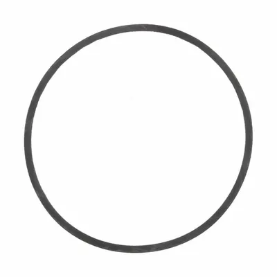 FILL-RITE Gasket: Gasket - Seals & Gaskets for Fuel & DEF Transfer Pumps