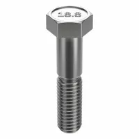 Hex Head Cap Screw: Stainless Steel, A2, NL-19, 1/2"-13, Coarse, 2 in lg, Globally Sourced, 10 PK (MPN FBHEXB12132P10)