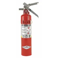 AMEREX Fire Extinguisher: 2.5 lb Extinguisher Capacity, 1A:10B:C, Monoammonium Phosphate (MPN B417T)