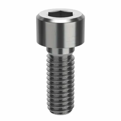 FOREVERBOLT Socket Head Cap Screw: M6x1.00 Thread Size, 16 mm Lg, Std, NL-19, Stainless Steel - Metric System Standard Socket Head Cap Screws