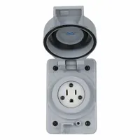 Straight Blade Receptacle: Single, 5-15R, Gray, 125V AC, 15 A, 2 Pole / 3 Wire (MPN LNR96-1)