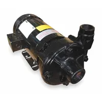 Centrifugal Pump: 2 hp, 230/460V AC, 110 ft Max Head, 1 1/2 in, 1 1/4 in Intake and Disch, TEFC (MPN 2ZXN7)