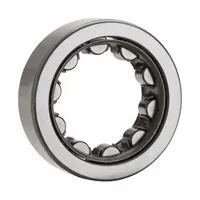NTN Cylindrical Roller Bearing: 310, 50 mm Bore, 110 mm OD, 27 mm Overall Wd, Cylindrical, Class 0 (MPN NU310EAG1C3)