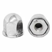 Jam Nut/Lug Nut Cover: Metric, Brass/Stainless Steel, 1 1/16 in Hex Size, Polished (MPN PNF19LNT)