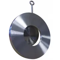 CHAMPION Check Valve: Swing, Inline Valve Body, 5 in Pipe Size, Flange, 316 Stainless Steel, Flange (MPN 5SDS15-SSP-R)