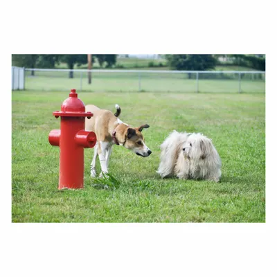 ULTRAPLAY TBARK-465 Dog Park Fire Hydrant - Dog Park Fire Hydrants