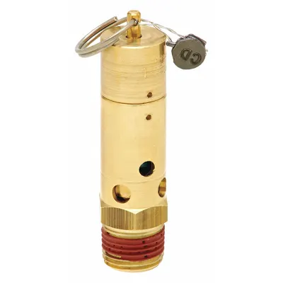 CONTROL DEVICES Air Safety Valve: Hard Seat, 1/2 in (M)NPT Inlet (In.) - Hard Seat Pneumatic Safety Valves