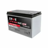 ZEUS BATTERY PRODUCTS Sealed Lead Acid Batteries: 12V DC, 83 Ah Capacity, 8.19 in Ht, 6.61 in Wd, M6 (MPN PC12-300UHR)
