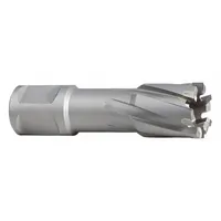Bright finish carbide-tipped annular cutter with 11/16 in diameter and 1 3/8 in maximum cutting depth. Features a Weldon Flat shank for secure mounting. Designed for cutting tough materials in industrial metalworking and structural steel fabrication