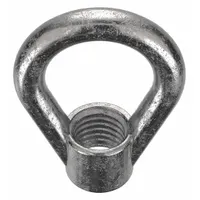 Eye Nut: 3/8"-16 Thread, Stainless Steel, Plain, Oval, 1 1/4 in Inside Dia, 2 in Outside Dia (MPN EN-3-316SS)