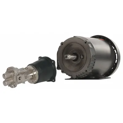 Dayton Rotary Gear Pump: Direct Drive, 1 hp Horsepower, 230/460V AC, 316 Stainless Steel Body - Direct-Drive Rotary Gear Pumps
