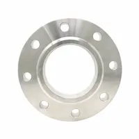 Metal Pipe Flange: Flange, 316L Stainless Steel, 10 in Pipe Size, Class 150, Raised, 12 Bolt Holes (MPN FLS61RFSO1000)