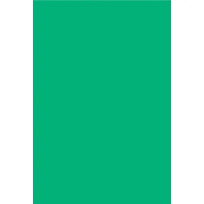 ACCUFORMNMC GML107GN Green Polyester Label, 8 in x 12 in - Labels