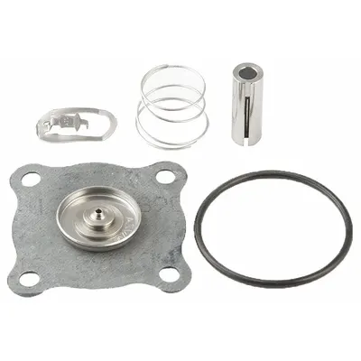 ASCO 102855 Solenoid Valve Repair Kit - Repair Kits for Solenoid Valves