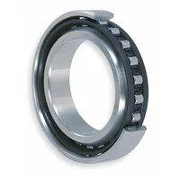 NTN Cylindrical Roller Bearing: 214, 70 mm Bore, 125 mm OD, 24 mm Overall Wd, Cylindrical, Brass (MPN NU214EG1C3)