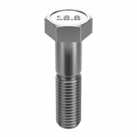 Hex Head Cap Screw: Stainless Steel, A2, NL-19, 3/4"-10, Coarse, 3 1/2 in lg, Globally Sourced, 5 PK (MPN FBHEXB3410312P5)