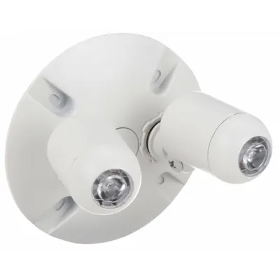 DUAL-LITE Remote Head: LED, Aluminum, Wall, 2 W Lamp Watt, 2 Lamps, 4.8 V, Adj, White - Aluminum Wet Location Remote Heads