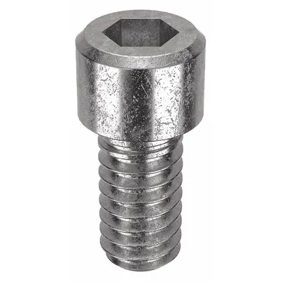 FOREVERBOLT Socket Head Cap Screw: 1/4"-20 Thread Size, 1/2 in Lg, Std, NL-19, Stainless Steel - Inch System Standard Socket Head Cap Screws