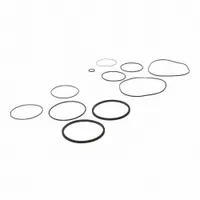 Seal kit for FILL-RITE pumps, containing 11 O-rings, a gasket, and a valve stem. Used to replace worn seals and prevent leaks in fuel-transfer applications. Suitable for maintenance and repair of pumps in industrial and agricultural settings