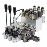 HYDRO CUSTOM Hydraulic Directional Control Valve: Four-Way / Three Positions, 13 gpm Flow Rate - Max (MPN 228323)