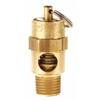 CONRADER Safety Valve: Soft Seat, 1/4 in (M)NPT Inlet (In.), 3/8 in (F)NPT Outlet (In.), Brass (MPN SRV250-1/4-CE-175)