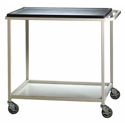 LABCONCO Mobile Cart: 31 7/8 in Overall Dp, 31 7/8 in Overall Wd, 36 in Overall Ht - Fume Hood Carts & Stands