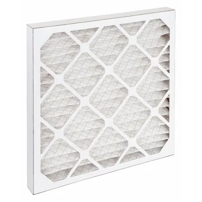 OEM Pleated Air Filter: 20 in x 20 in x 2 in, MERV 10, Gen Use - MERV 10 Pleated Air Filters