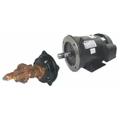 This direct-drive rotary gear pump features a bronze body and PPS gear, with 1" FNPT ports. Powered by a 3 hp motor rated for 230/460V AC, it is suited for fluid transfer in industrial applications requiring a compact configuration.