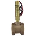This inline paddle flow switch is designed for liquid flow detection in hazardous locations rated Class I, Div 1 and 2, Groups A, B, C, D. It features a brass body with 1 1/4 in NPT connection and is intended for 1/2 in pipe size. Contact rating is 5 A at 125/250 V AC and 24 A inductive at 30 V DC for CSA, ATEX, and IECEx models. Suitable for use in industrial processes requiring flow/no-flow indication in potentially explosive atmospheres.