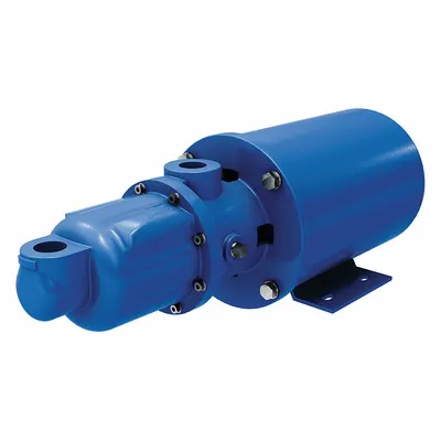 MOYNO Motorized Progressive Cavity Pump: Water, Direct Drive AC Motor, Cast Iron - Wobble Stator PC Pumps with Motor