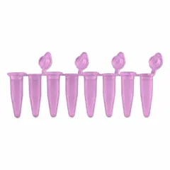 PCR Strip, Polypropylene, 0.2 mL, Purple, Conical Bottom, Attached Flat Caps