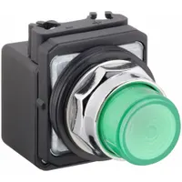DAYTON Pilot Light: 30 mm Panel Mounting Size, Green, LED, 24 V AC/DC Max Volt Rating (Supply)