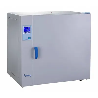 BEING SCIENTIFIC Incubator: Gravity, 4.3 cu ft Capacity, 25 1/4 in x 31 in x 29 1/4 in - General Purpose Incubators