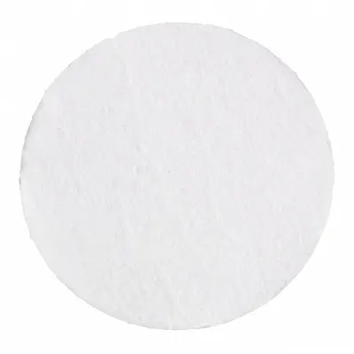 CYTIVA WHATMAN D Grade Glass Fiber Filter, 14.2 cm - D Grade Glass Fiber Filters