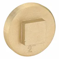 OATEY Plug: Plug, 2 in Fitting Pipe Size, NPT Threaded, Brass, 10 psi, Square Drive (MPN 42370)