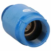 DAYTON Spring Check Valve: Inline Valve Body, 2 in Pipe Size, MNPT x FNPT, Ductile Iron, Male, NPT