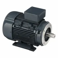 LEESON Metric Motor: 3 hp, C-Face/Rigid Base Mount, 90L Frame Size, Totally Enclosed Fan Cooled (MPN 090LT34FH6420)