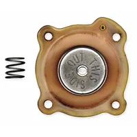 This repair kit is designed for servicing ASCO solenoid valves, compatible with model 8353G052AC110/50D. It includes replacement seals, gaskets, and internal components to restore valve function in fluid-control systems