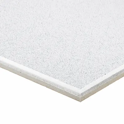 ARMSTRONG Cirrus 24 in x 48 in Beveled Tegular Mineral Fiber - General Purpose Tiles