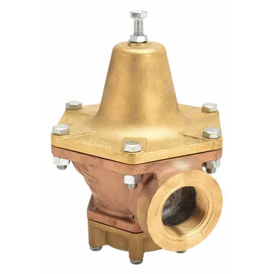 CASH VALVE Steam Pressure Regulator: Bronze, FNPTF x FNPTF, 1/2 in Inlet - Steam Pressure Regulators