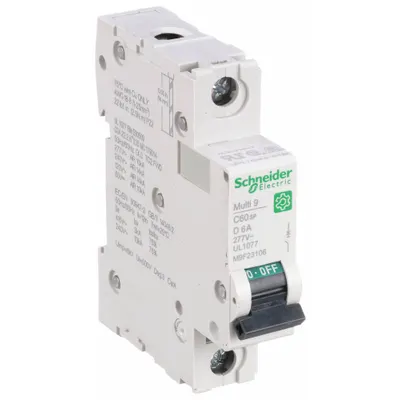 SCHNEIDER Supplementary Protector: 6 A Amps, 60V DC, 14kA at 120/240V AC, Screw Clamp - D-Curve, 1-Pole UL1077 DIN Rail-Mount Supplementary Protectors