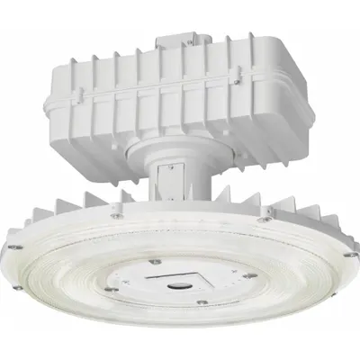 LITHONIA LIGHTING High Bay: 19,734 lm, 5000K, 20 ft – 40 ft Mounting Ht, Wide Distribution - Round LED Bay Lights
