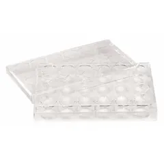 APPROVED VENDOR 48-Well Cell Culture Plate, 0.29 mL, 128 mm, RNase/DNase Free, Polystyrene