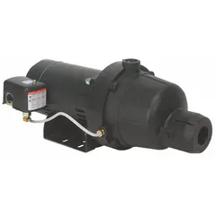 This Dayton shallow-well jet pump is a single-phase unit rated for 115/230V AC. It includes an ejector and is designed for transferring water from shallow wells. Typical applications include residential irrigation, garden watering, and light agricultural use.