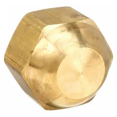 Brass flared fitting cap for sealing and protecting 3/4 inch OD flared tube ends. Used in hydraulic, pneumatic, and fluid transfer systems to prevent contamination and leakage. Made from corrosion-resistant brass.